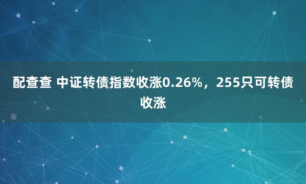 配查查 中证转债指数收涨0.26%,255只可转债收涨
