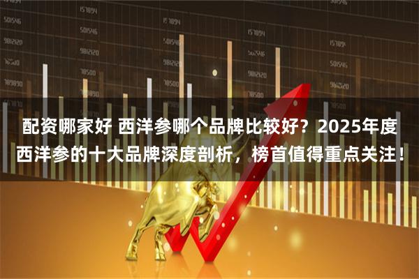 配资哪家好 西洋参哪个品牌比较好?2025年度西洋参的十大品牌深度剖析,榜首值得重点关注!