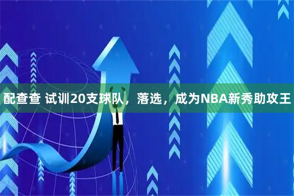 配查查 试训20支球队，落选，成为NBA新秀助攻王
