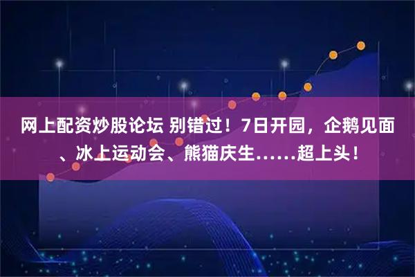 网上配资炒股论坛 别错过！7日开园，企鹅见面、冰上运动会、熊猫庆生……超上头！